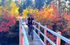 McKenzie River Trail - Fall Colors 